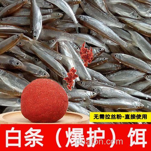公认钓白条最快的饵料?