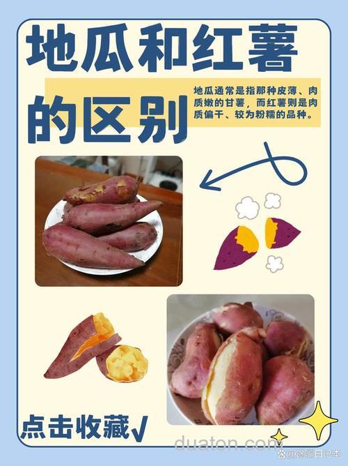 薯诱和红薯膏的区别?