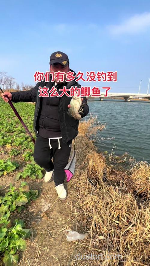 冬季大太阳天怎么钓鲫鱼?