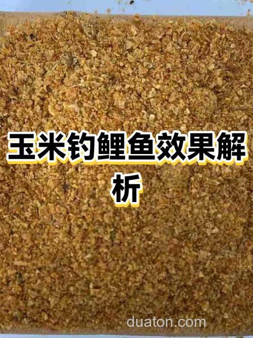 玉米钓鲤鱼效果怎么样