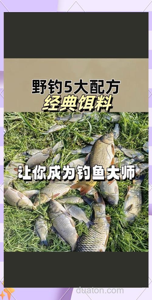 肥水钓鲫用全能腥全能香怎么搭配？