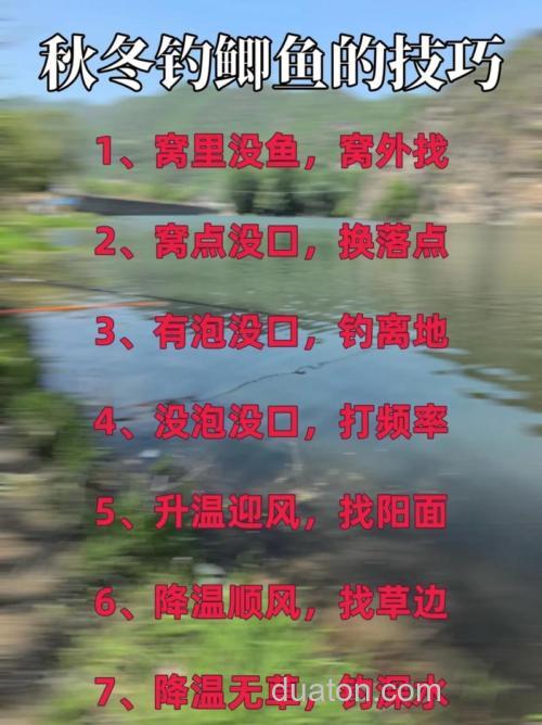 秋季台钓鲫鱼一定要做好这几点