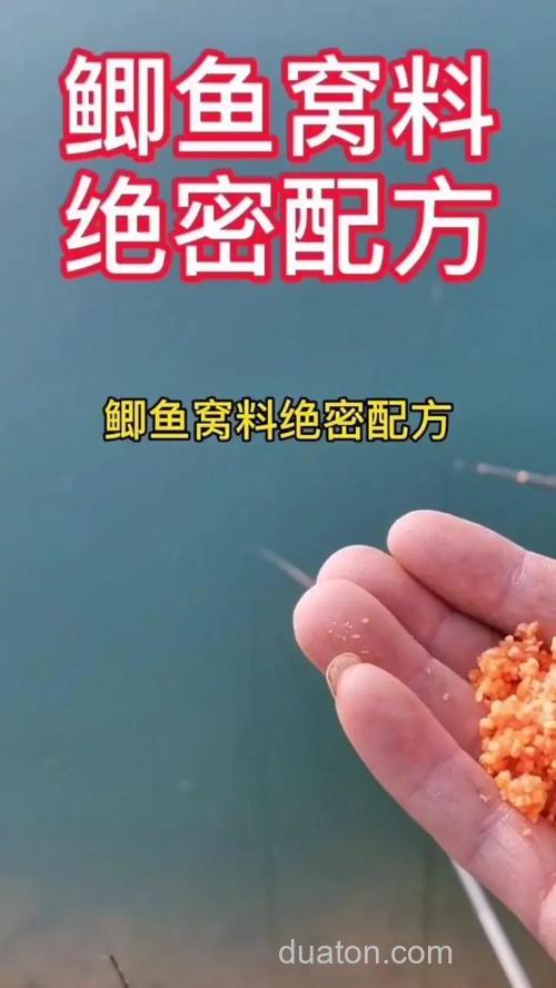 香葱鲫鱼窝料自制配方？