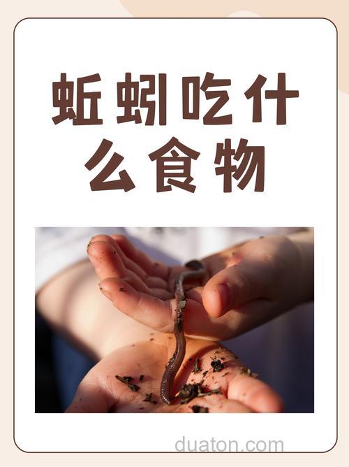养蚯蚓吃蓝鲫吗？