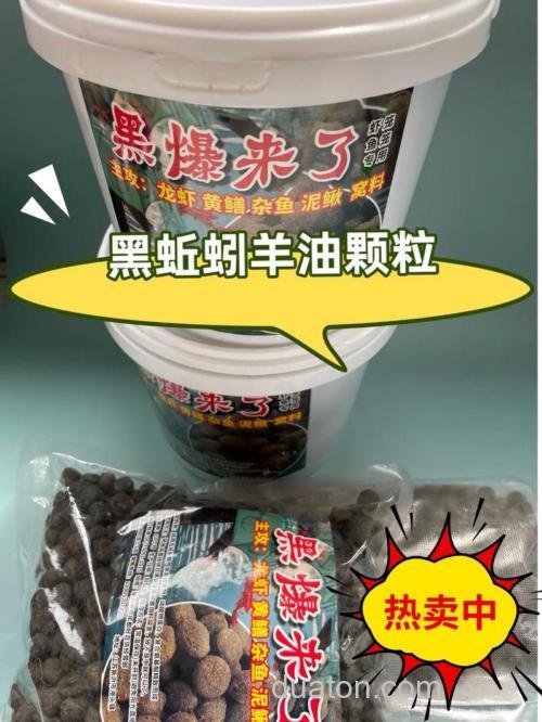 鱼虾鳝饵配方?