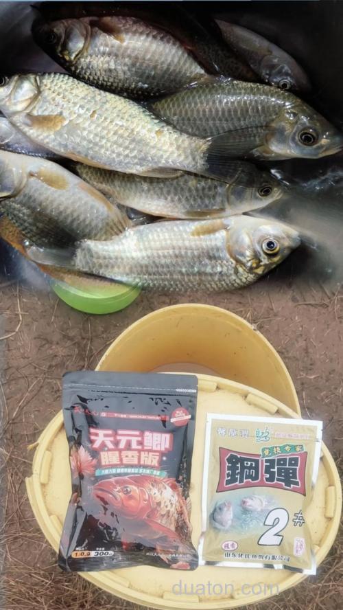 天元鲫黄是什么味型的？