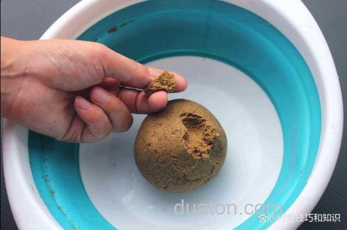 冬天大棚钓鲤鱼丸九搓饵