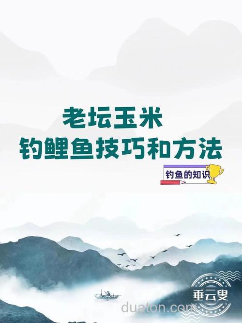 玉米面钓鲤鱼最佳饵料配方?