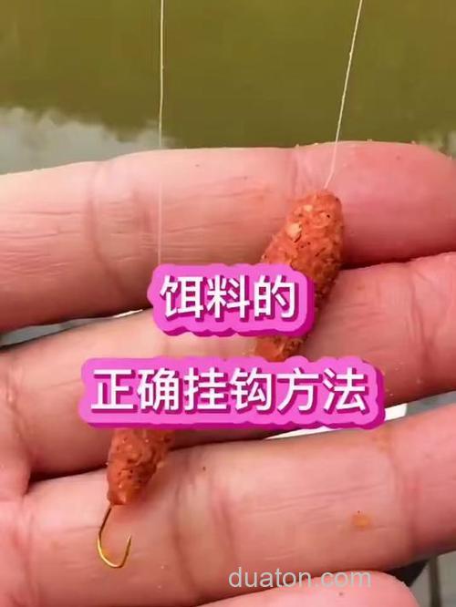 开的鲤鱼饵料挂不住怎么办?