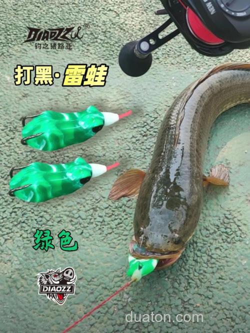 垂钓黑鱼抛弃假饵使用这些饵料将事半功倍