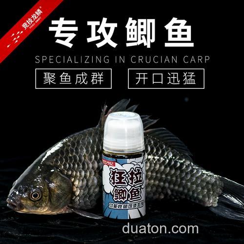 大棚钓鲫鱼用什么小药好,跟什么饵料搭配