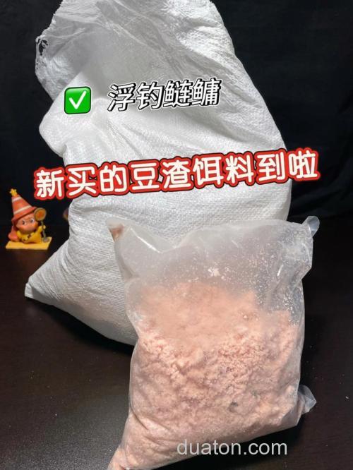一块豆腐加上这些料制作的钓鲢鳙鱼饵,钓鲢鳙效果比买的还好