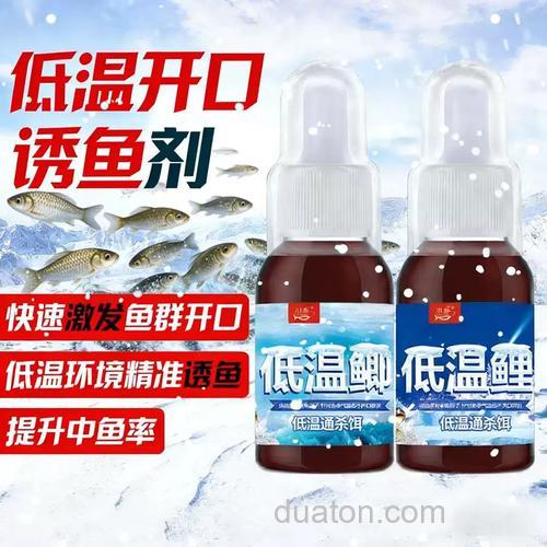 冬天野钓鲫鱼加什么小药?