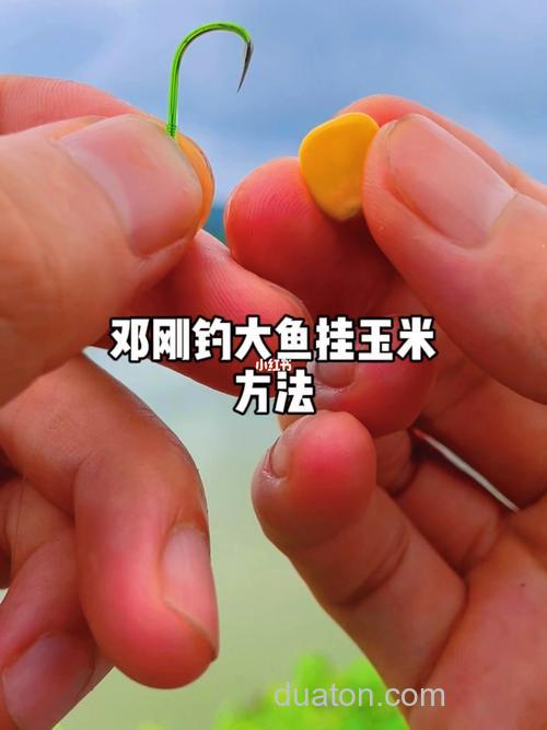 邓刚玉米钓鲤鱼正确方法?