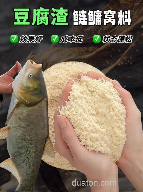 豆腐渣钓鲢鳙绝密配方和保存方法？
