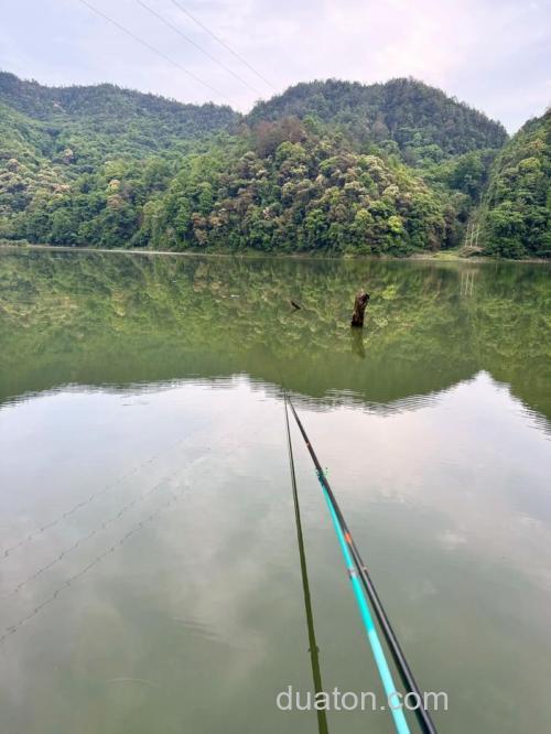 巴南区南湖水库可以钓鱼吗？