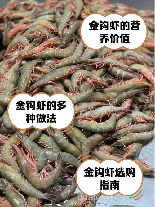 用螺丝肉钓鱼能钓到什么鱼,效果如何,哪位大虾试过?