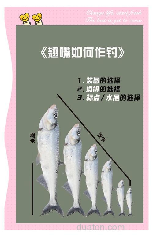 台钓半水用玉米粒钓翘嘴的技巧及选钓位方法，你知道吗？