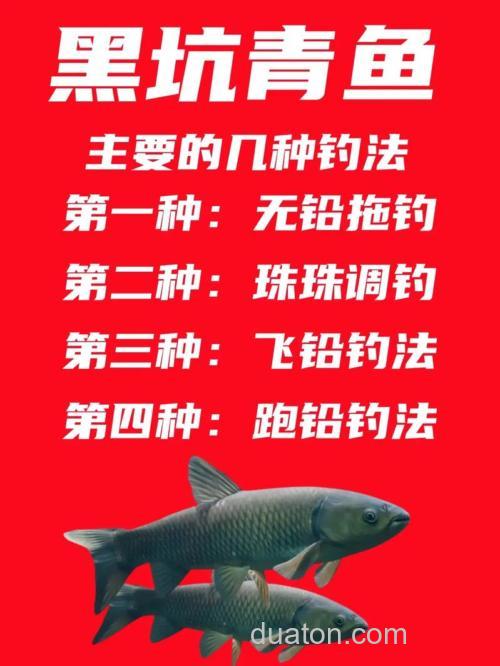 夏季钓青鱼，用这几招就对了