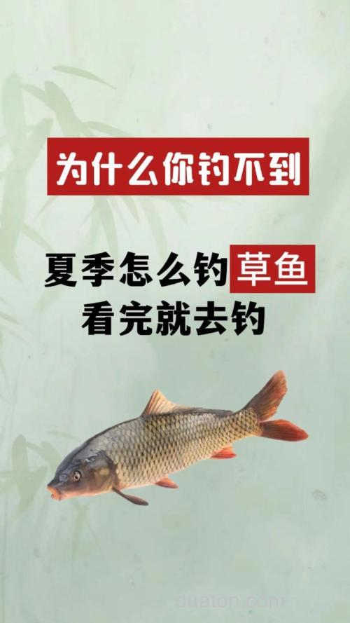 为什么有草鱼,很多人都钓不上来