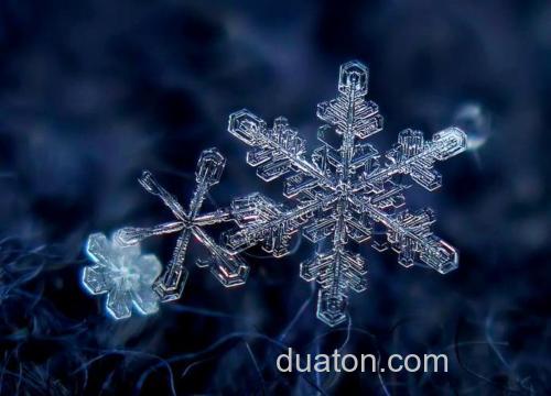 正规的雪花有几片花瓣？