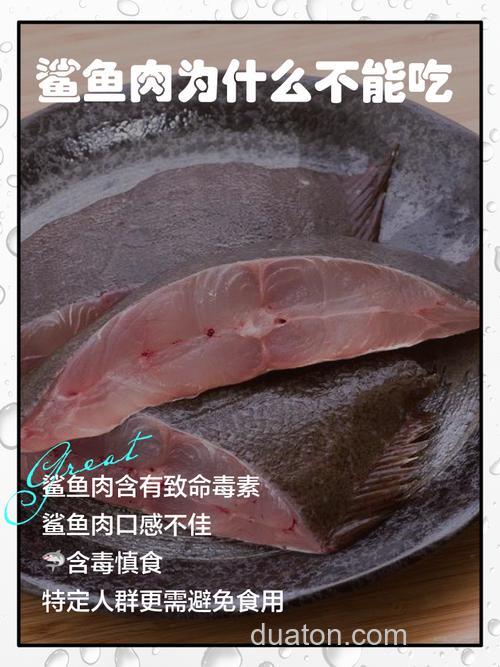 鱼吃生猪肉吗?