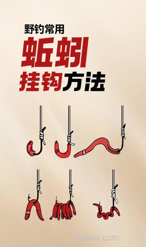 野钓鲤鱼蚯蚓挂法?