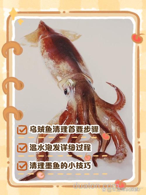海钓新手必看:如何妥善处理鱼获?从击晕、放血到保存,全面保持鱼的新鲜度
