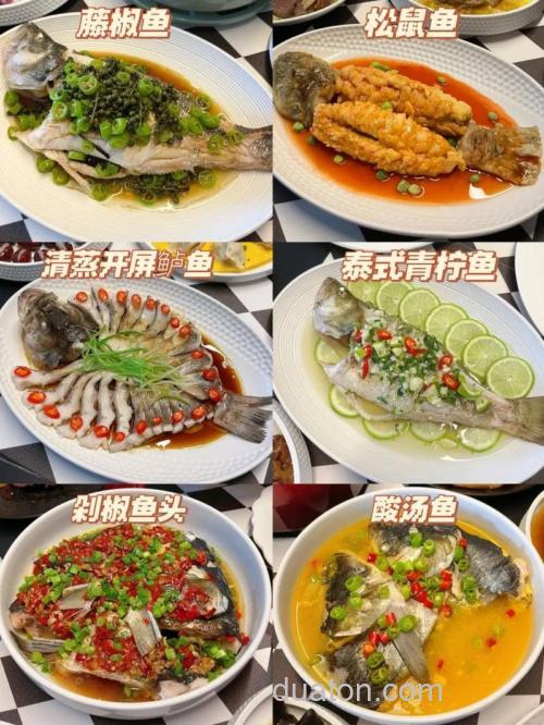 如何让鱼吃食