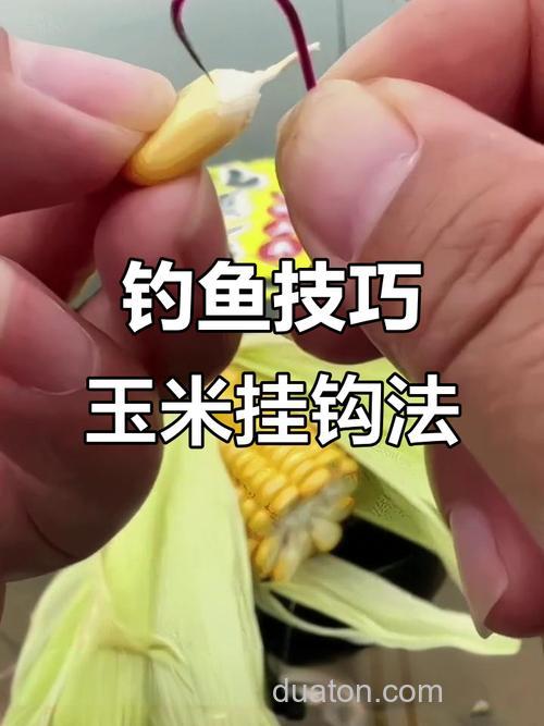 在水库钓鲫鱼鲤鱼 用玉米面怎么做饵料钓 ?