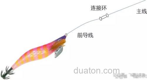 从新手到墨鱼高手:海钓墨鱼装备与技巧全解析,告别空手而归