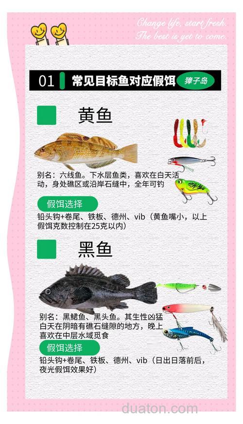 海钓活饵选择与保鲜技巧:如何提升中鱼率?让每次出海都收获满满