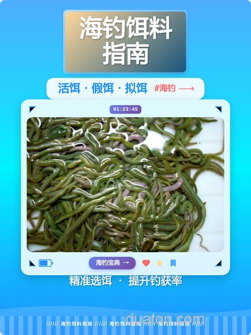 海钓用什么饵料钓比较好?