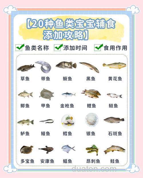 鲤鱼吃什么食物