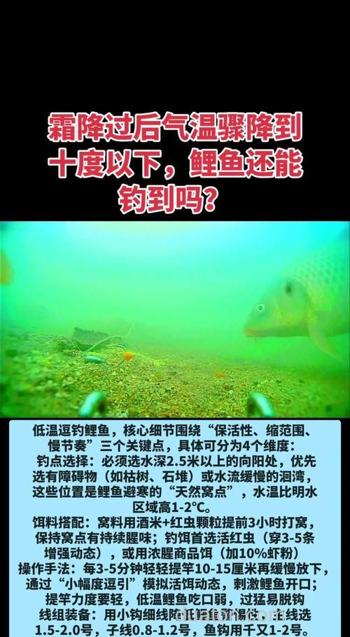 霜降了还下雨温差大怎么钓鱼?求鱼饵配方及钓点!