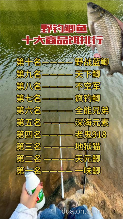 10度野钓鲫鱼鲤鱼用什么饵?