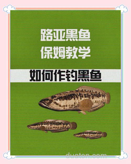 用了这些小方法,黑鱼变得好钓多了