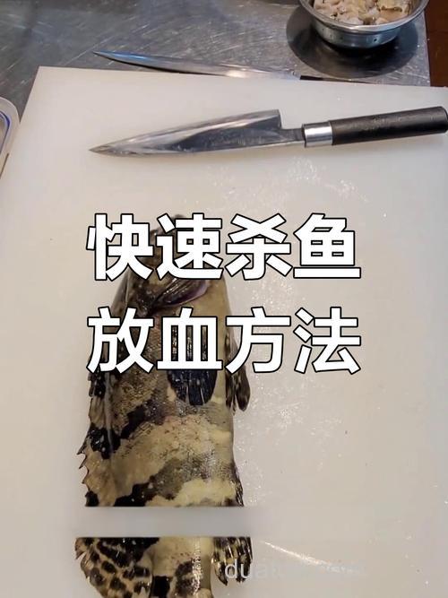 海钓放血技巧:提升鱼肉鲜度关键步骤,让渔获保鲜更美味