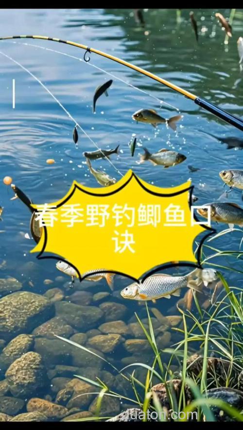 仲春野钓鲫鱼技巧：浅滩水草钓点选择与腥香饵料使用指南