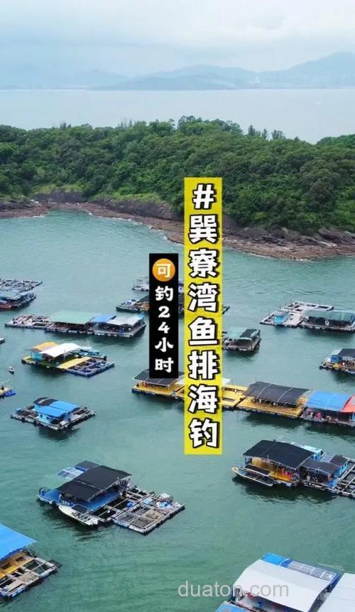 惠州海钓攻略:如何选择钓点?大亚湾、巽寮湾礁区探秘