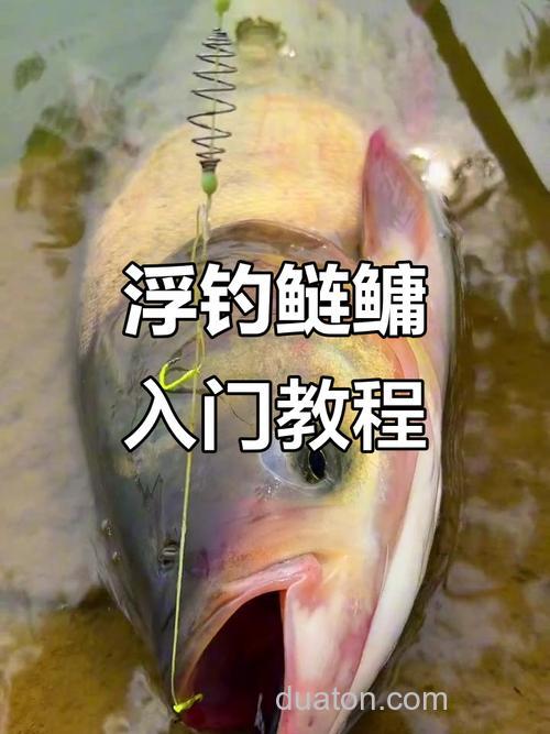 鲢鳙，做到这3点，钓起来压根没什么难度