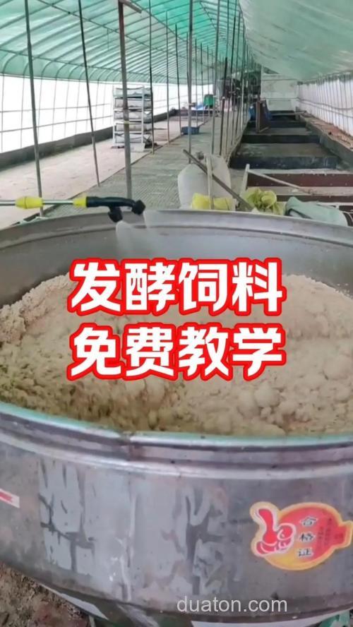发酵饵料的制作方法?