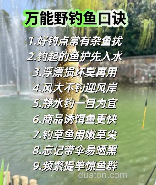 那位钓友能把钓鱼的经验分享与我,谢谢