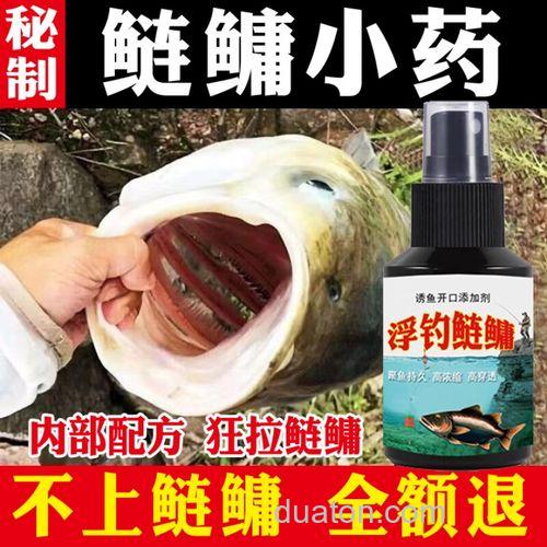 鲢鳙方块饵怎么加小药？