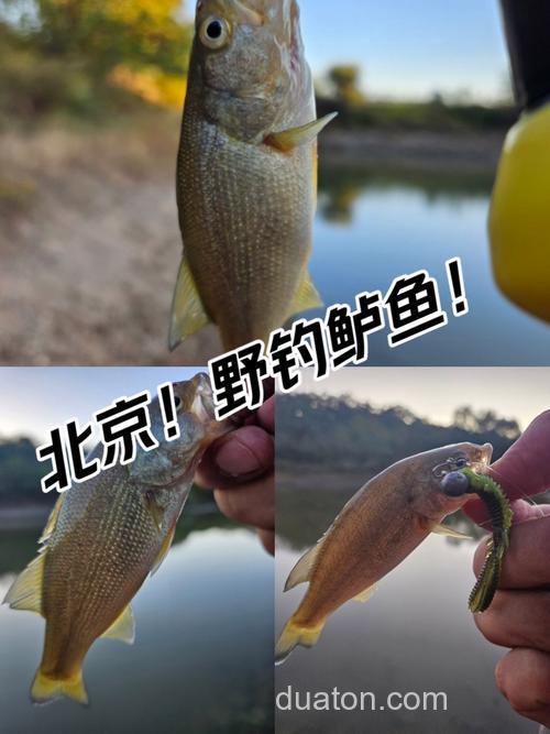 北京怀柔野钓十大排名?