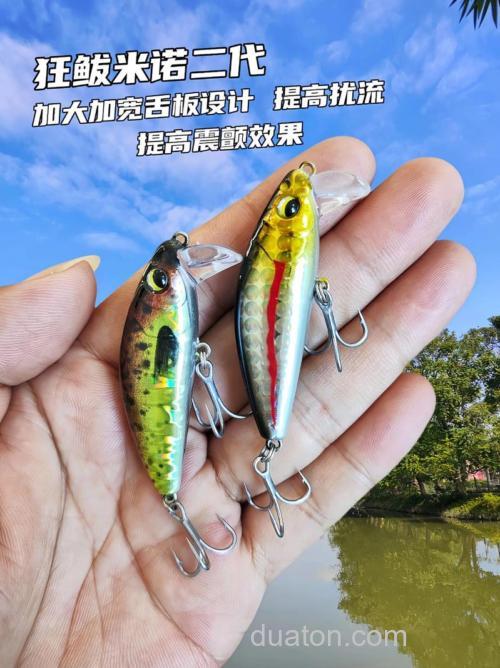 钓马口用什么商品饵料最好?