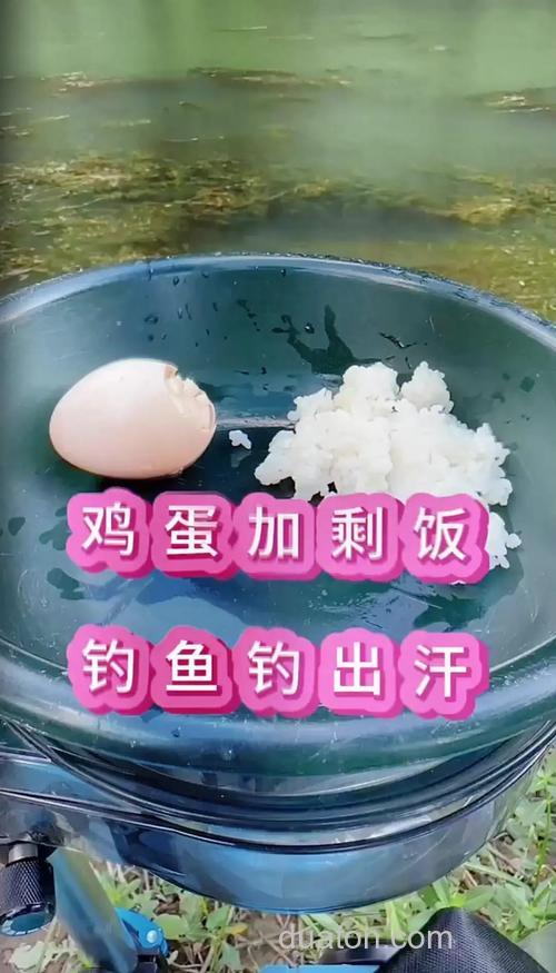 米饭白饵的制作方法?