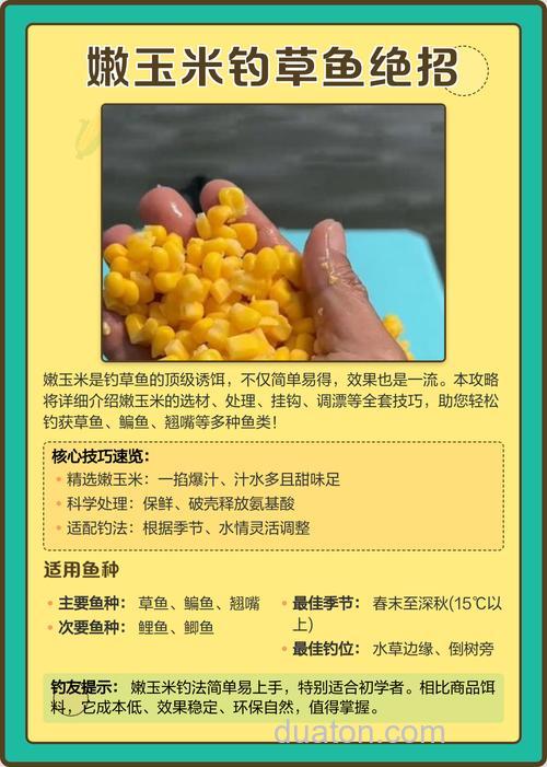 泡玉米钓草鱼绝密配方？