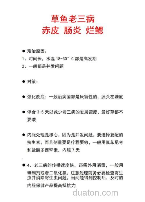 草鱼得了肠炎怎么办?