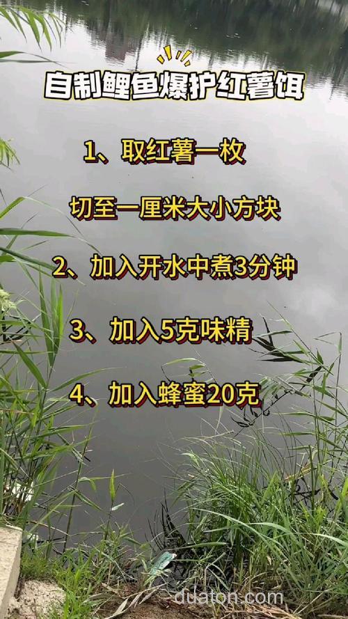 鲤鱼红薯饵料怎么做?
